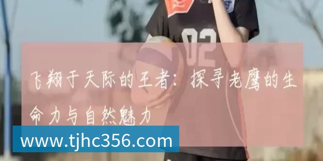 飞翔于天际的王者:探寻老鹰的生命力与自然魅力